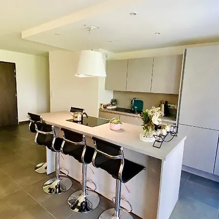 Prive De 200m2 Διαμέρισμα Kembs